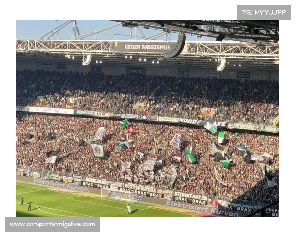 人民公园球场顶棚安全隐患,德甲官方宣布补赛日期待定